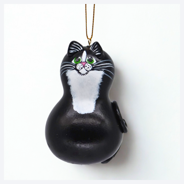 Tuxedo Cat with white background