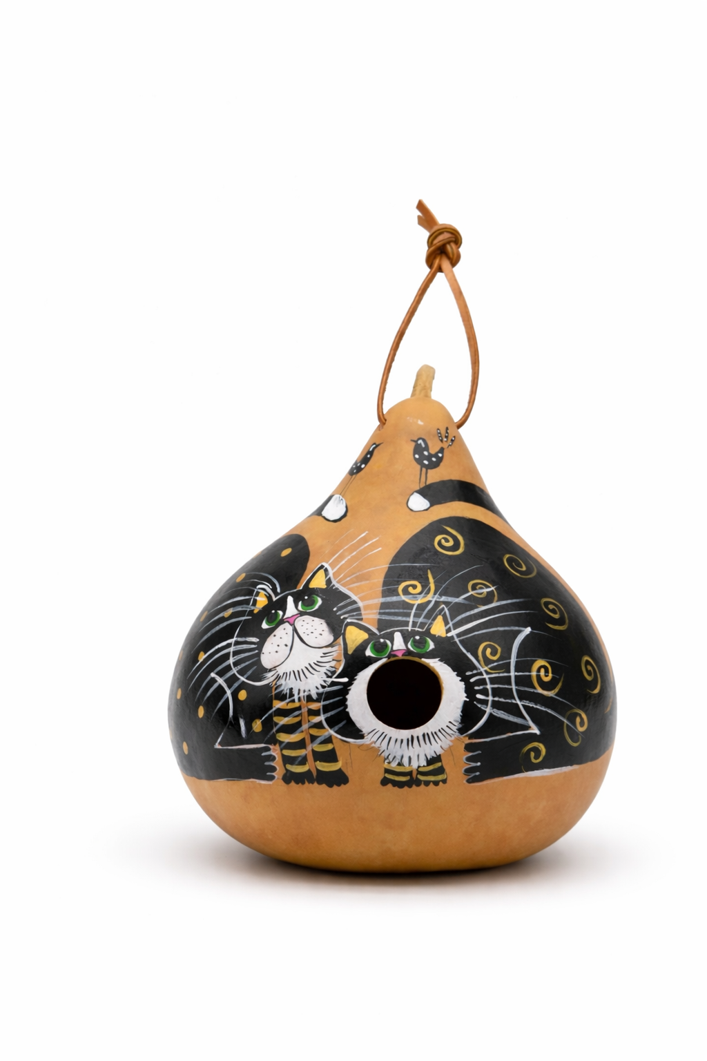 Tuxedo Cat Gourd Birdhouse with White Background