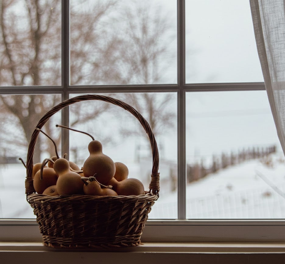 Mini Bottle Gourds for Snowman Crafts – Bulk Pack (10–40 Pieces)