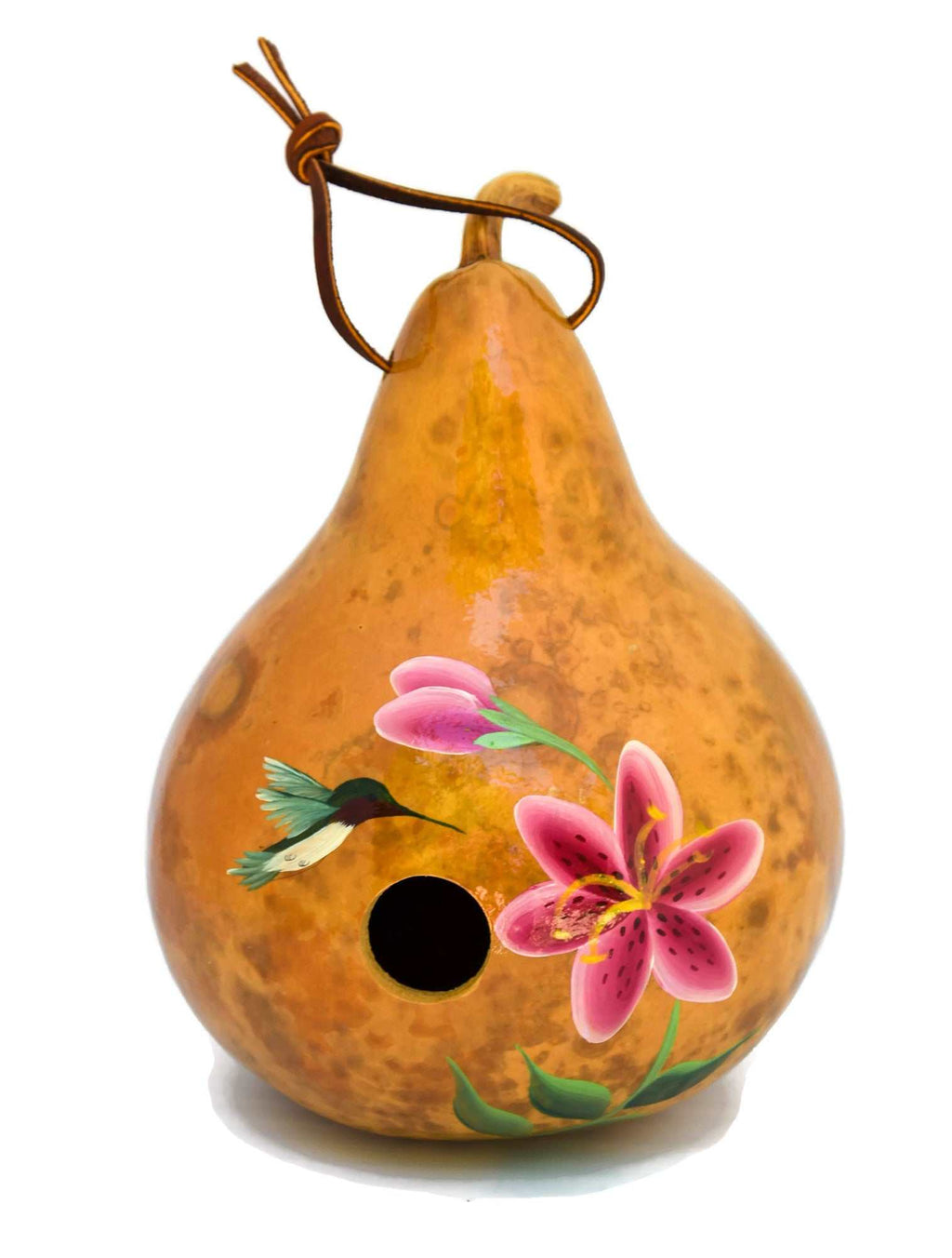 Hand Painted Hummingbird Gourd Birdhouse – Outdoor Garden Decor for Wrens & Chickadees