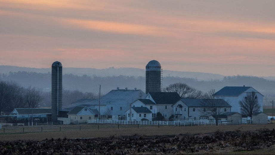 Gourd Farm in Pennsylvania 