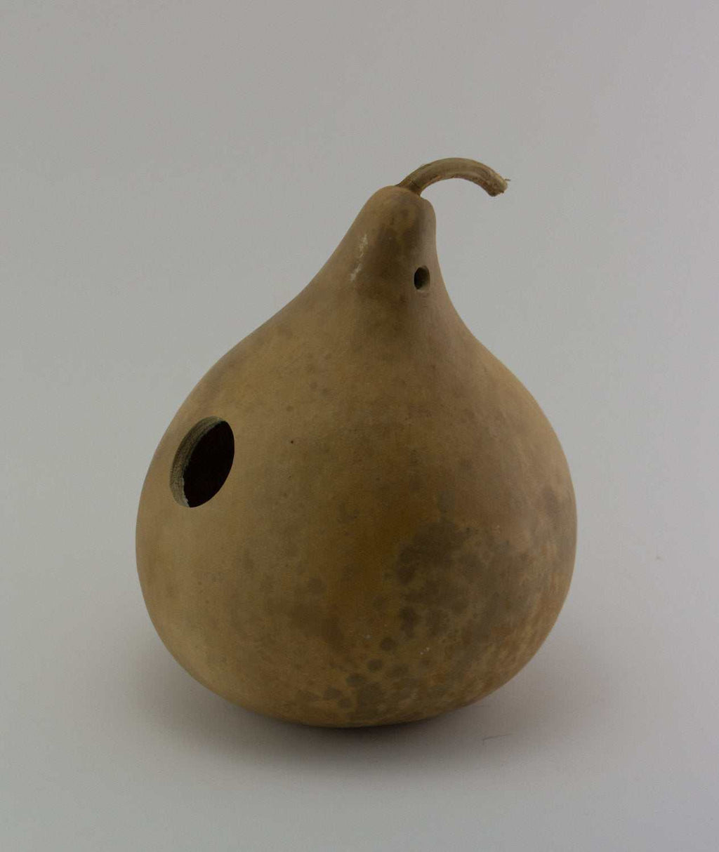 Unfinished natural dried gourd wren house with entrance hole for small birds