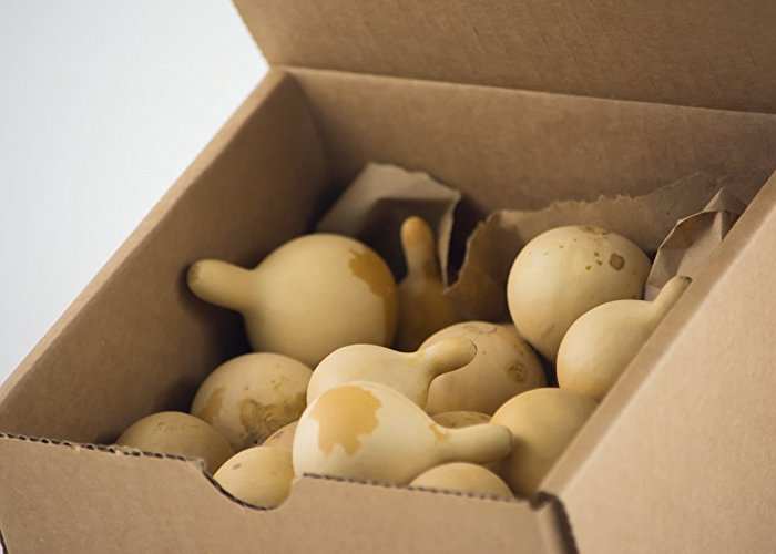 Mini Jourds Dried Gourds - Mini Tennessee Spinner Gourds for Crafts & Ornaments ...