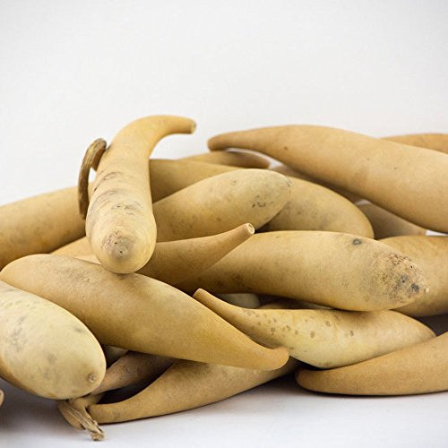 Dried Banana gourds for crafting