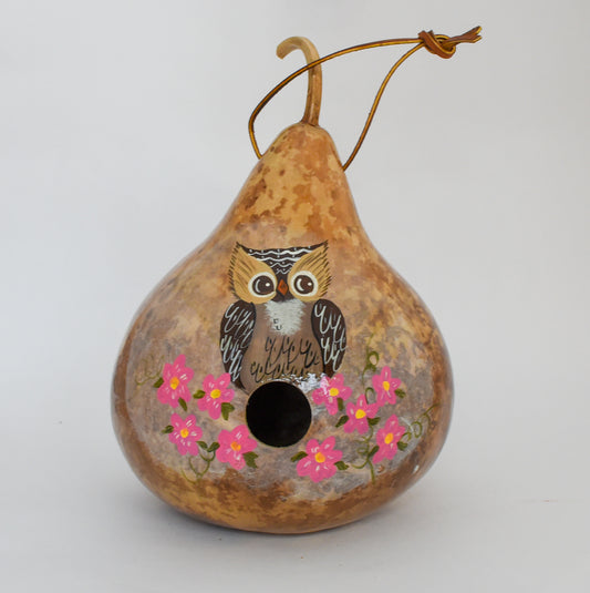 Owl Birdhouse Gourd Art for Your Garden