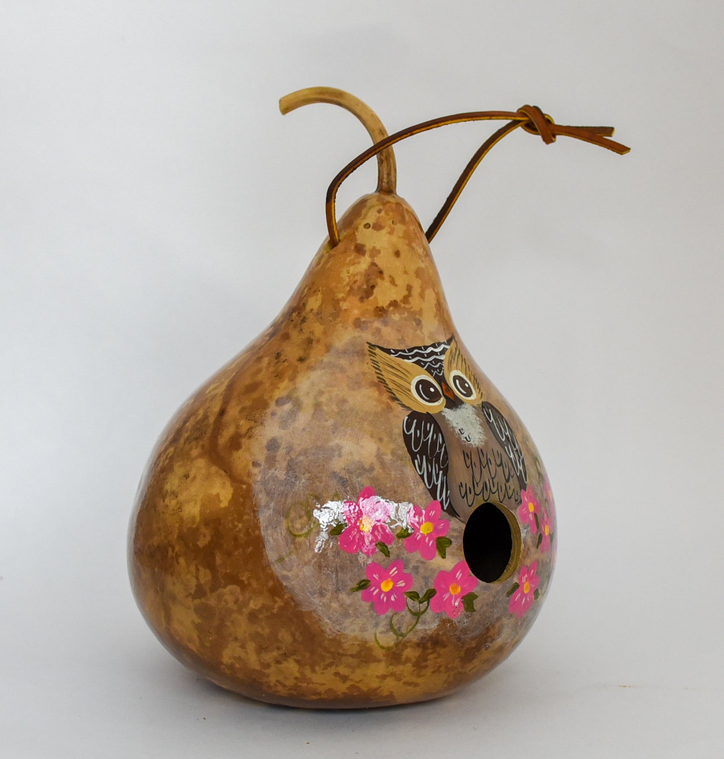 Owl Birdhouse Gourd Art for Your Garden