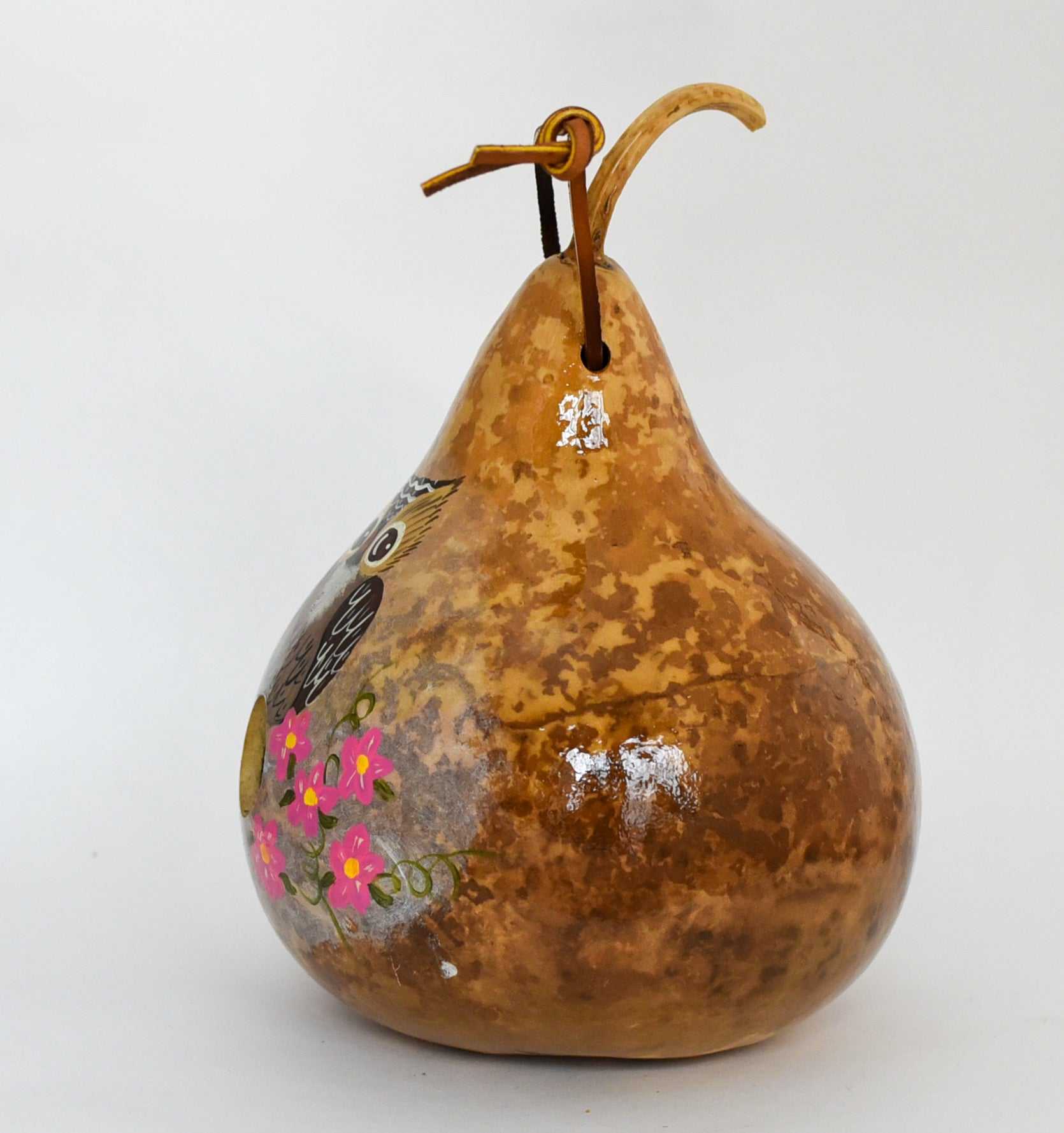 Owl Birdhouse Gourd Art for Your Garden