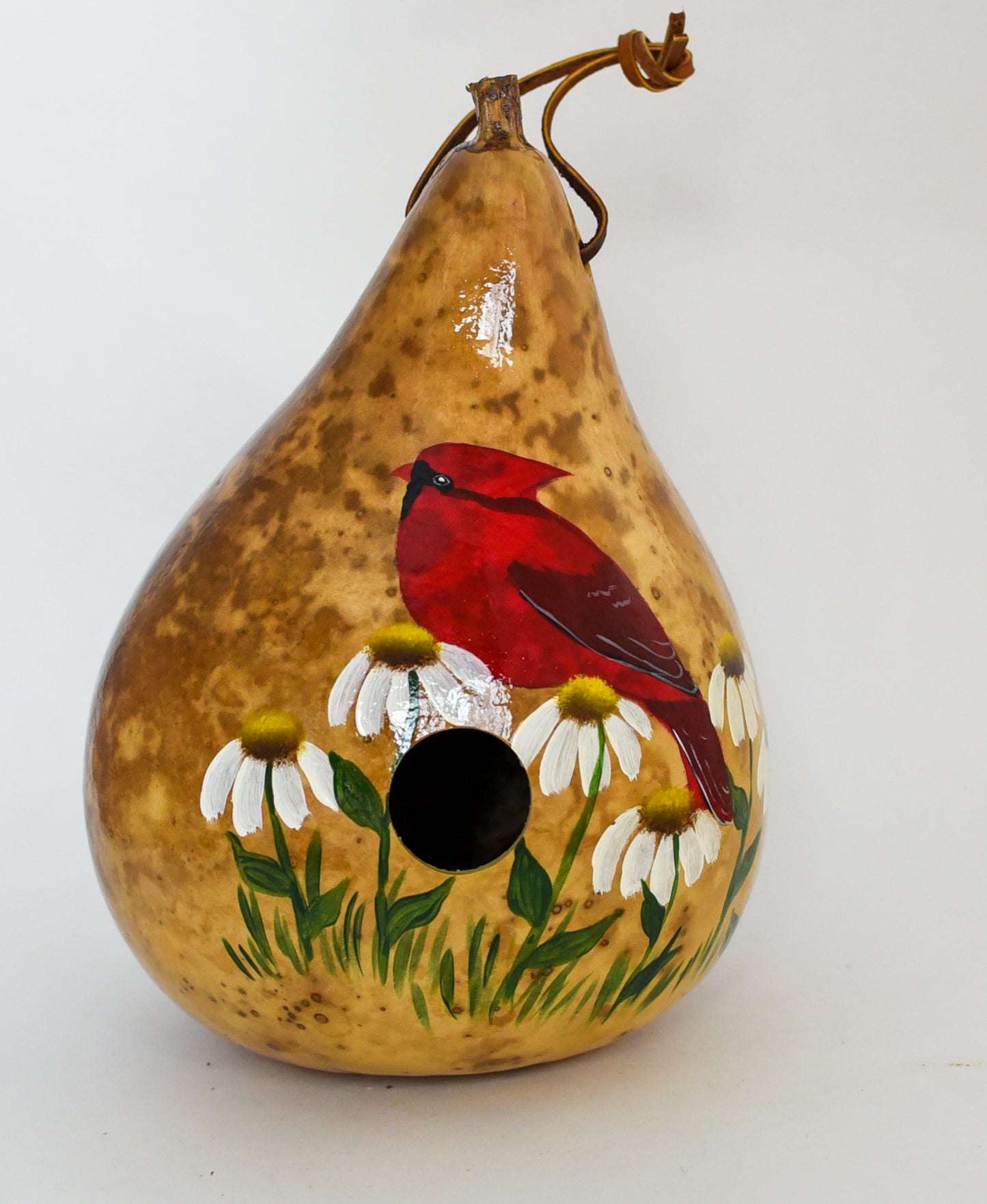 Cardinal Birdhouse Gourd Art, Handpainted Gourd birdhouse for your yard