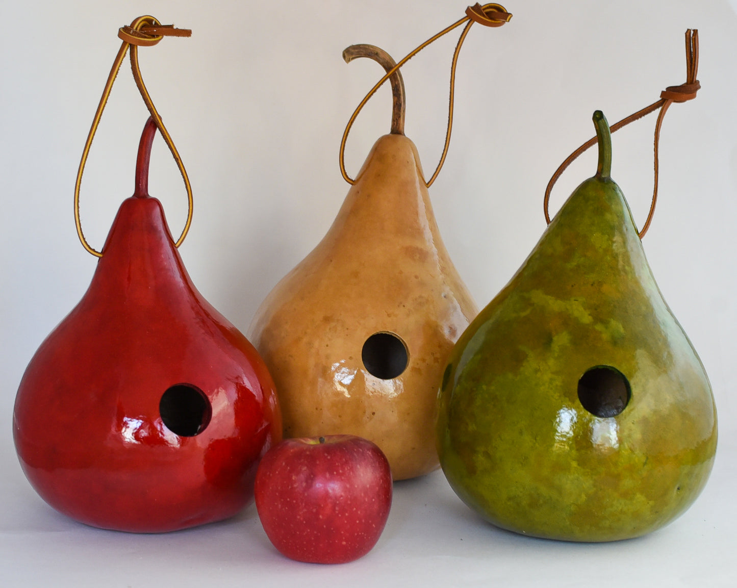 Gourd Birdhouse for Wrens Handmade