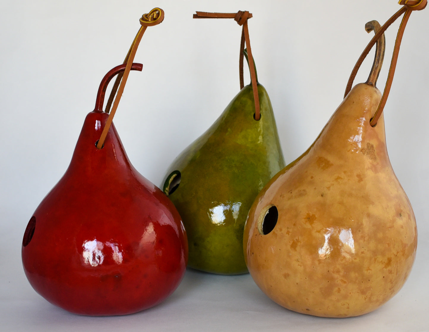 Gourd Birdhouse for Wrens Handmade