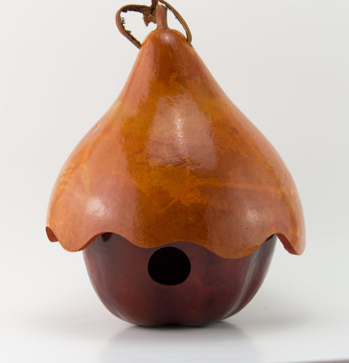 Gourd Birdhouse - Cottage style - Handmade and outdoor ready 