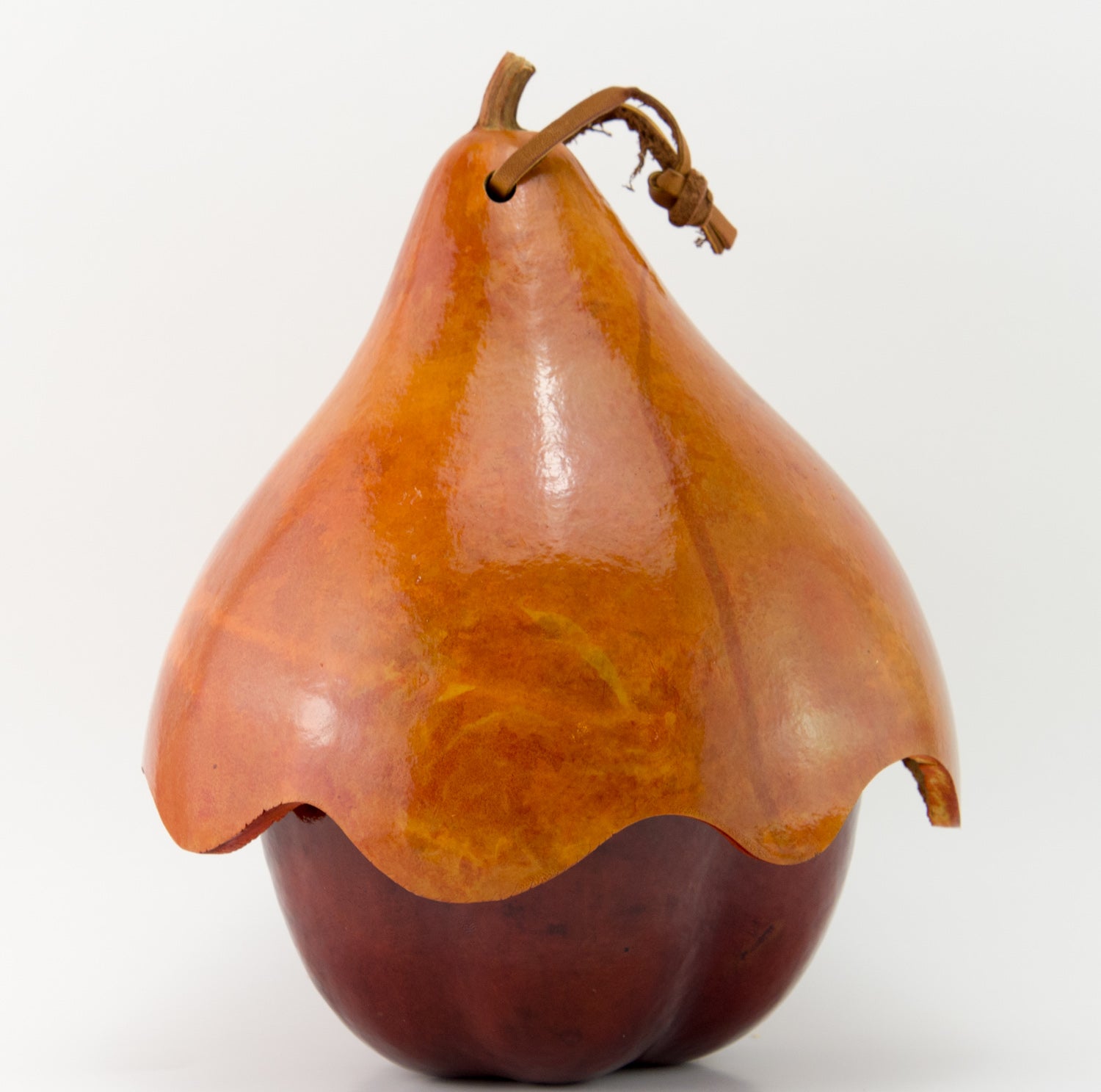 Apple with Hat Gourd Birdhouse, Cottage Birdhouse - Gourdaments