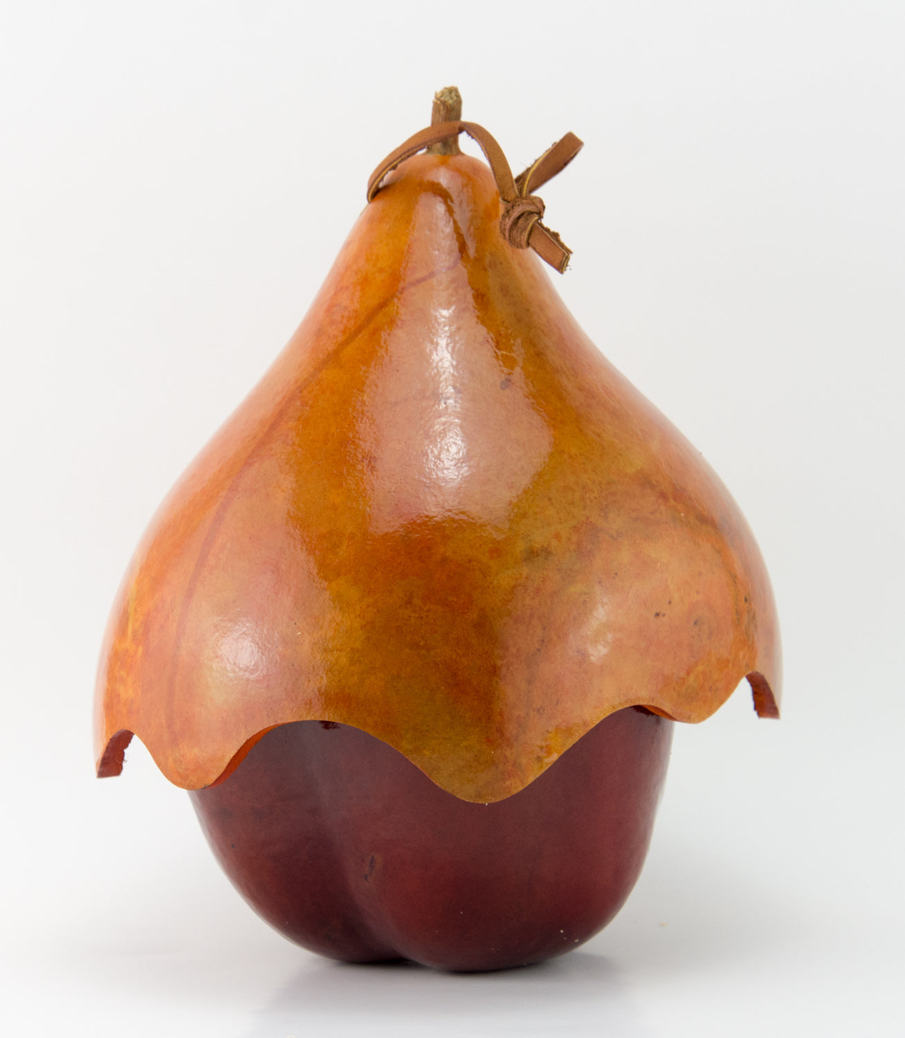 Apple with Hat Gourd Birdhouse, Cottage Birdhouse - Gourdaments