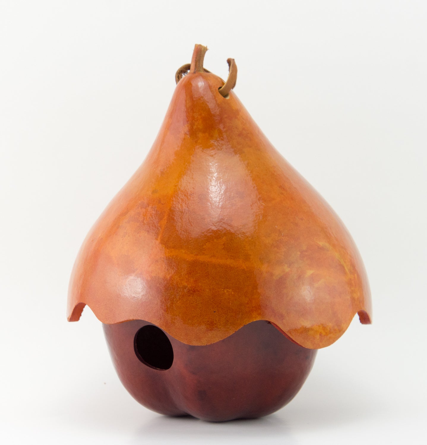 Apple with Hat Gourd Birdhouse, Cottage Birdhouse - Gourdaments