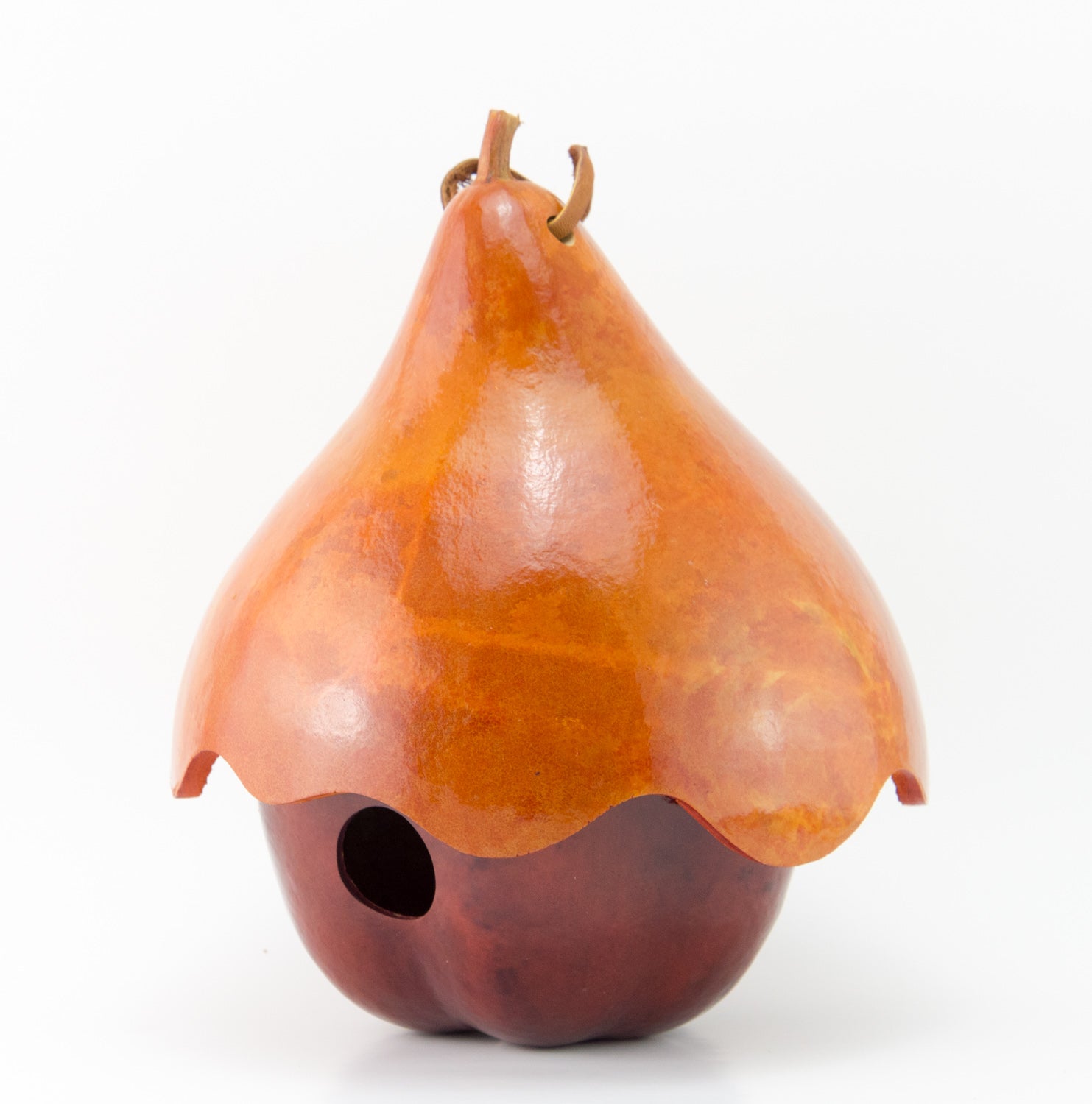 Apple with Hat Gourd Birdhouse, Cottage Birdhouse - Gourdaments