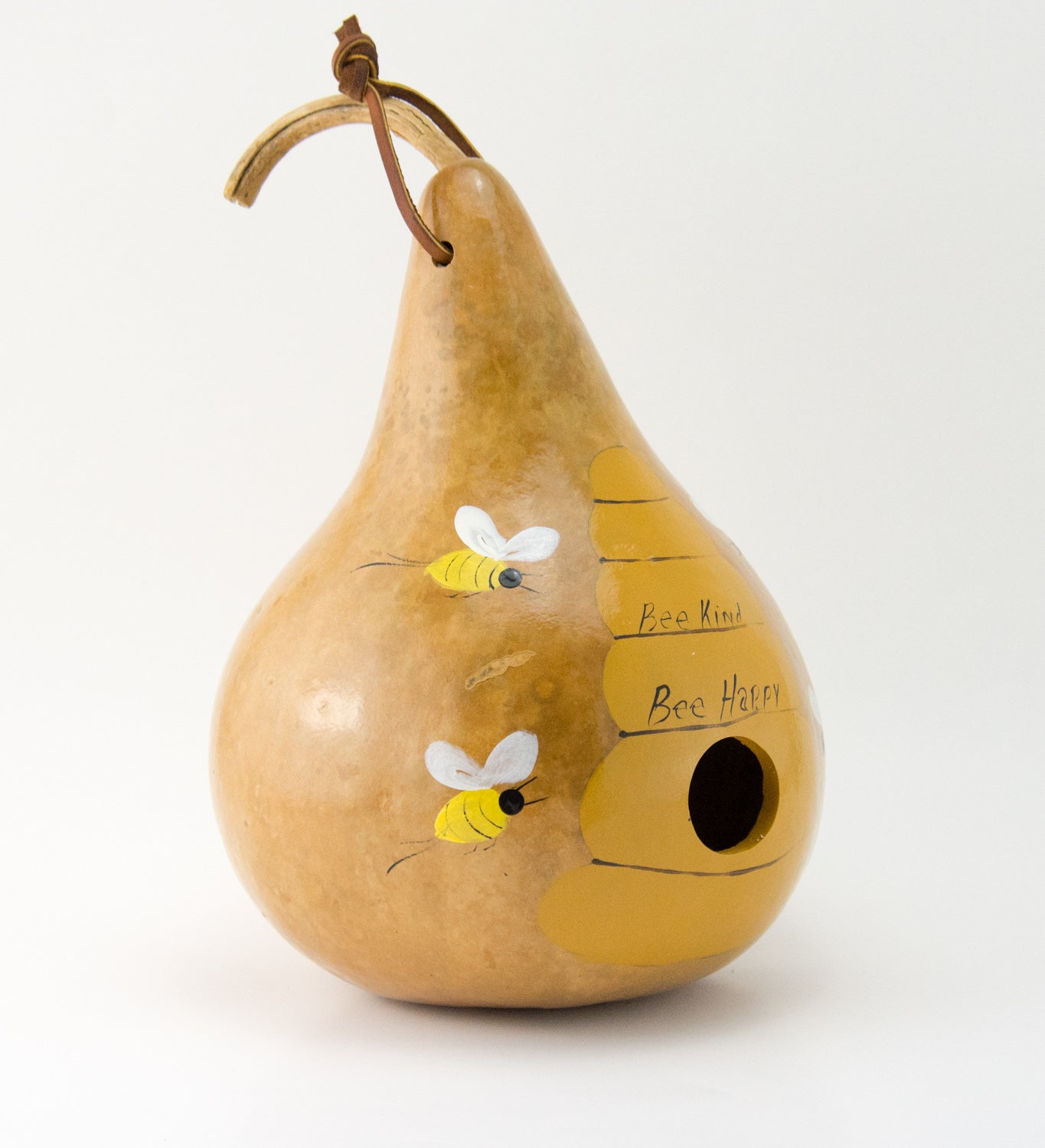 Bee Birdhouse Painted Gourd Birdhouse - Gourdaments