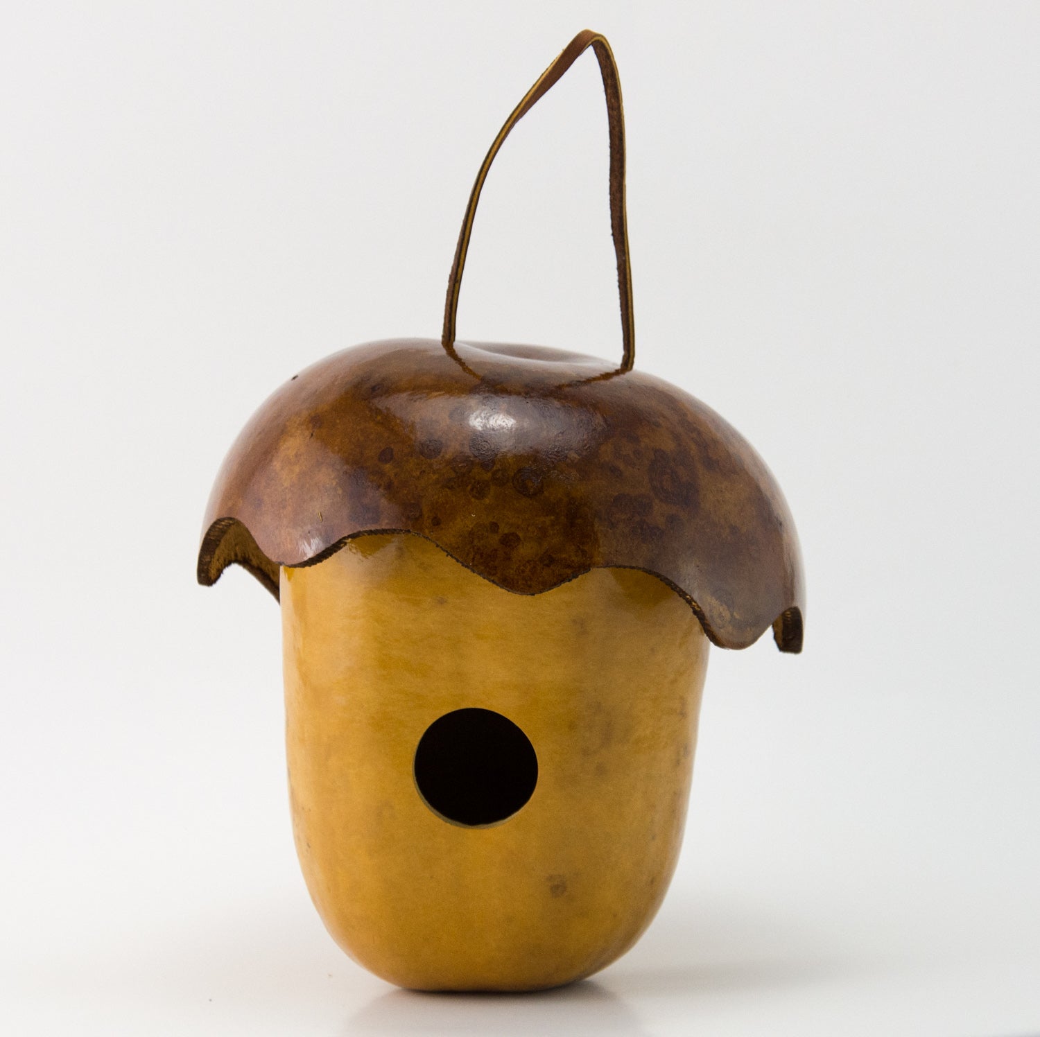 Acorn Gourd Birdhouse, Cottage Birdhouse, Whimsy for your garden - Gourdaments