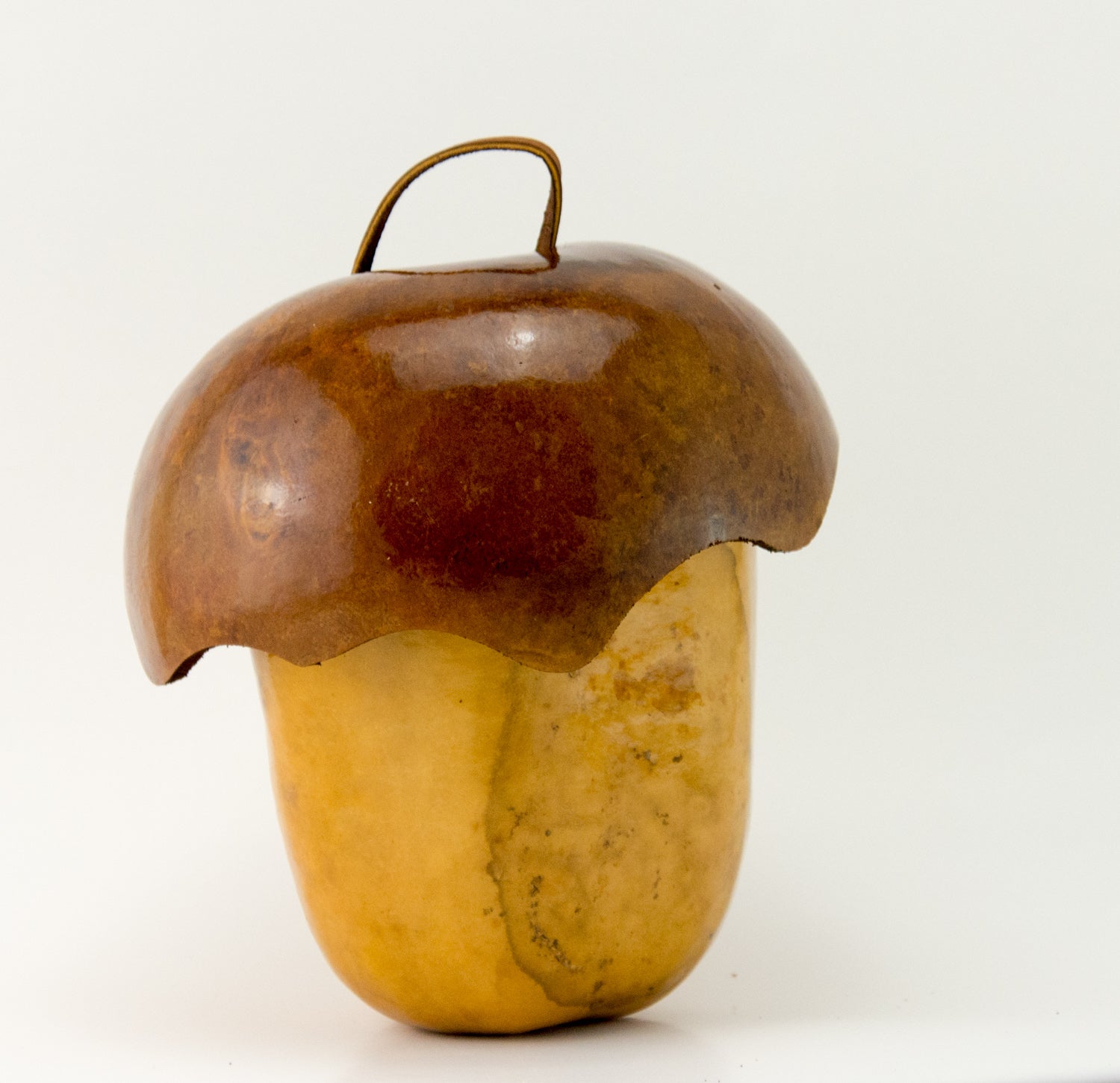 Acorn Gourd Birdhouse, Cottage Birdhouse, Whimsy for your garden - Gourdaments