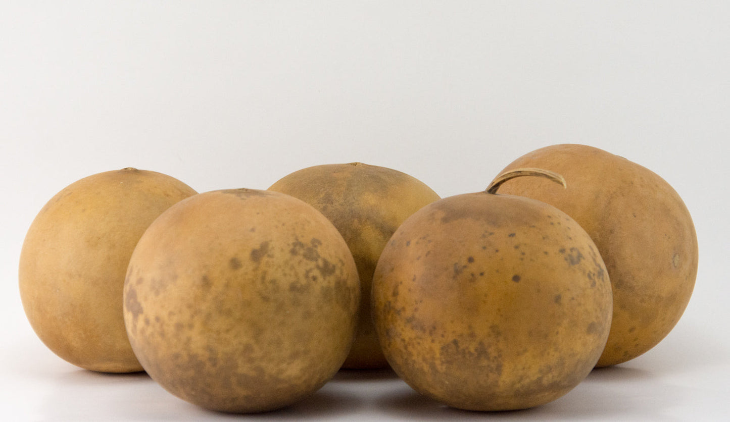 Craft Ready Cannon Ball gourds - Washed - Perfect for your Project