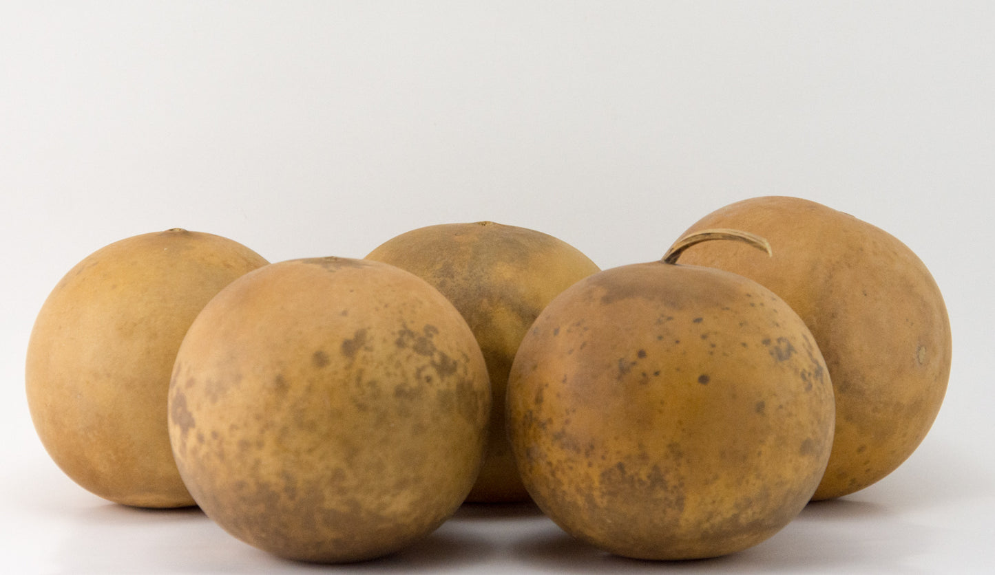 Cannon Ball Gourds, Box of 5, washed and ready - Gourdaments
