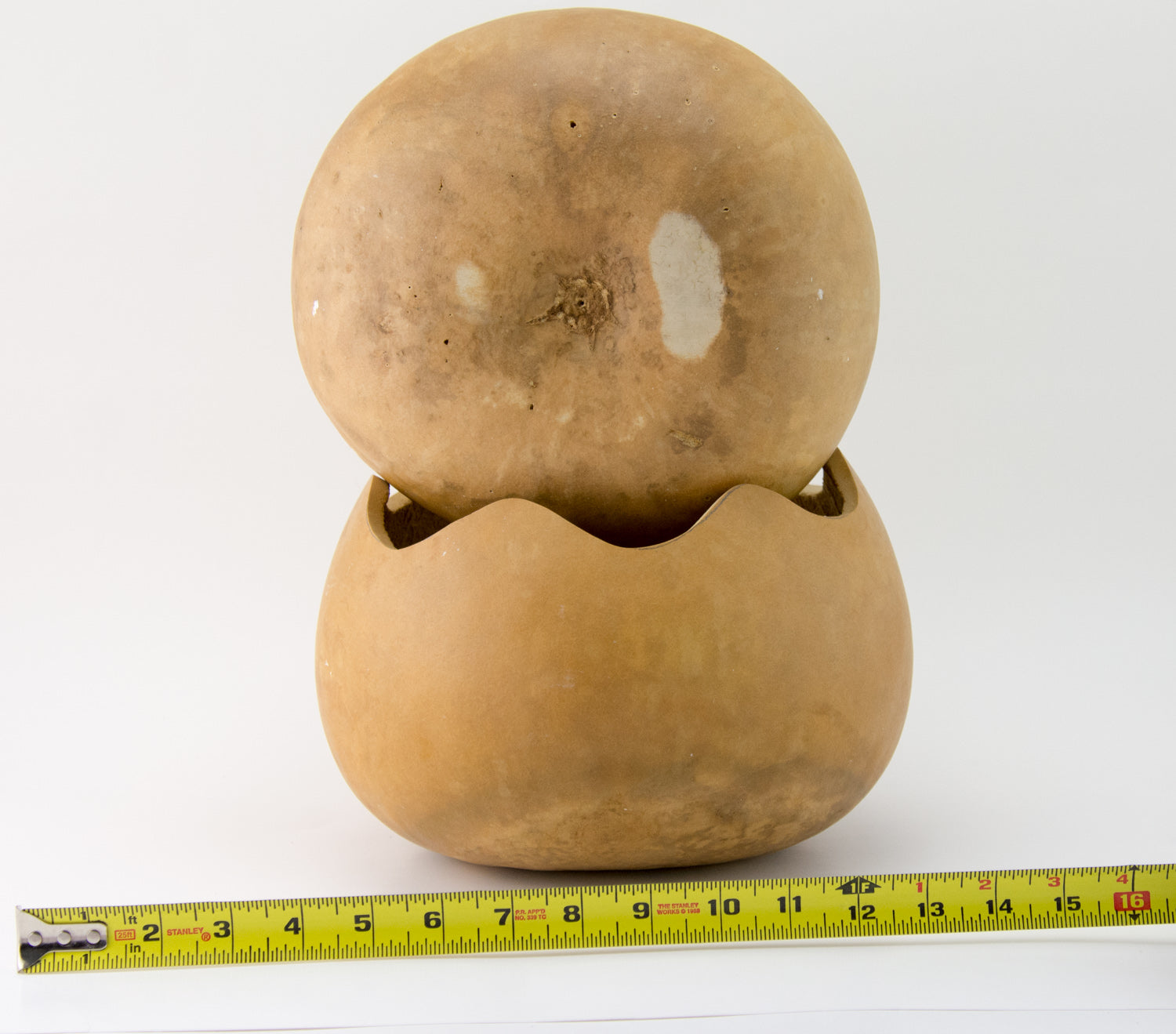 Gourd Bowls, Craft Ready, Set of 2 - Gourdaments