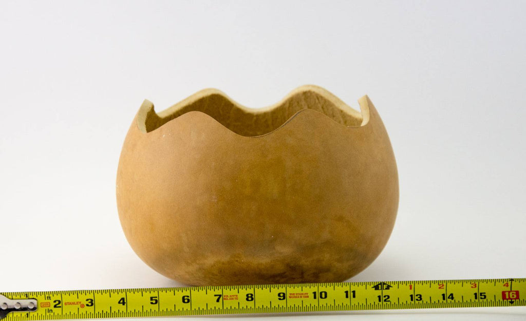 Precut 8-inch dried gourd bowl with scalloped edge and sanded base for craft projects