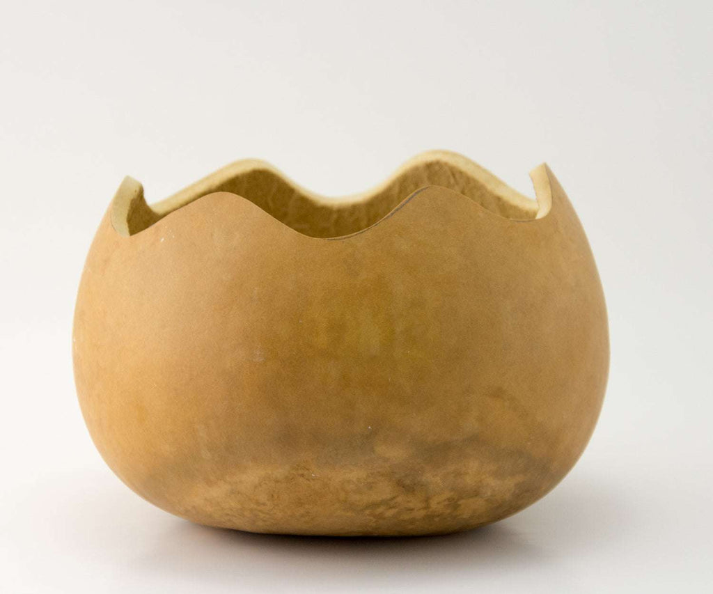 Precut gourd bowl with scalloped edge and sanded base, ready for crafting and decoration