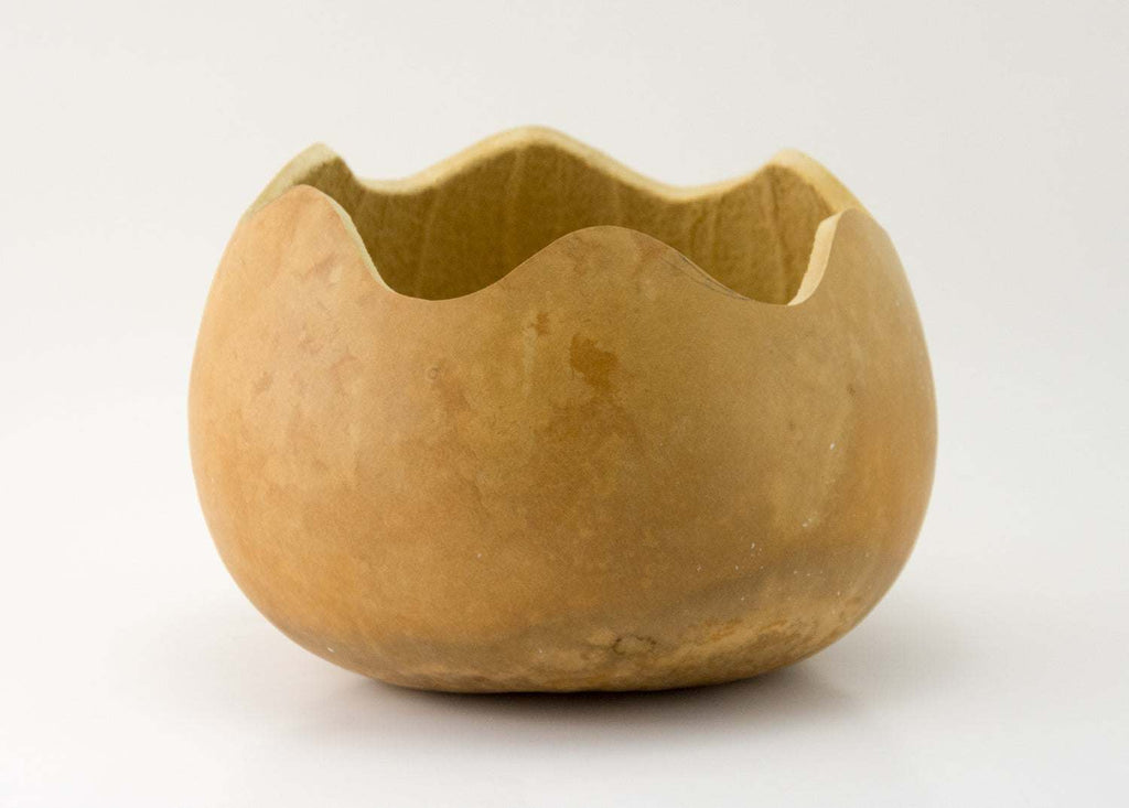 Precut natural dried gourd bowl with scalloped edge and sanded base ready for crafting