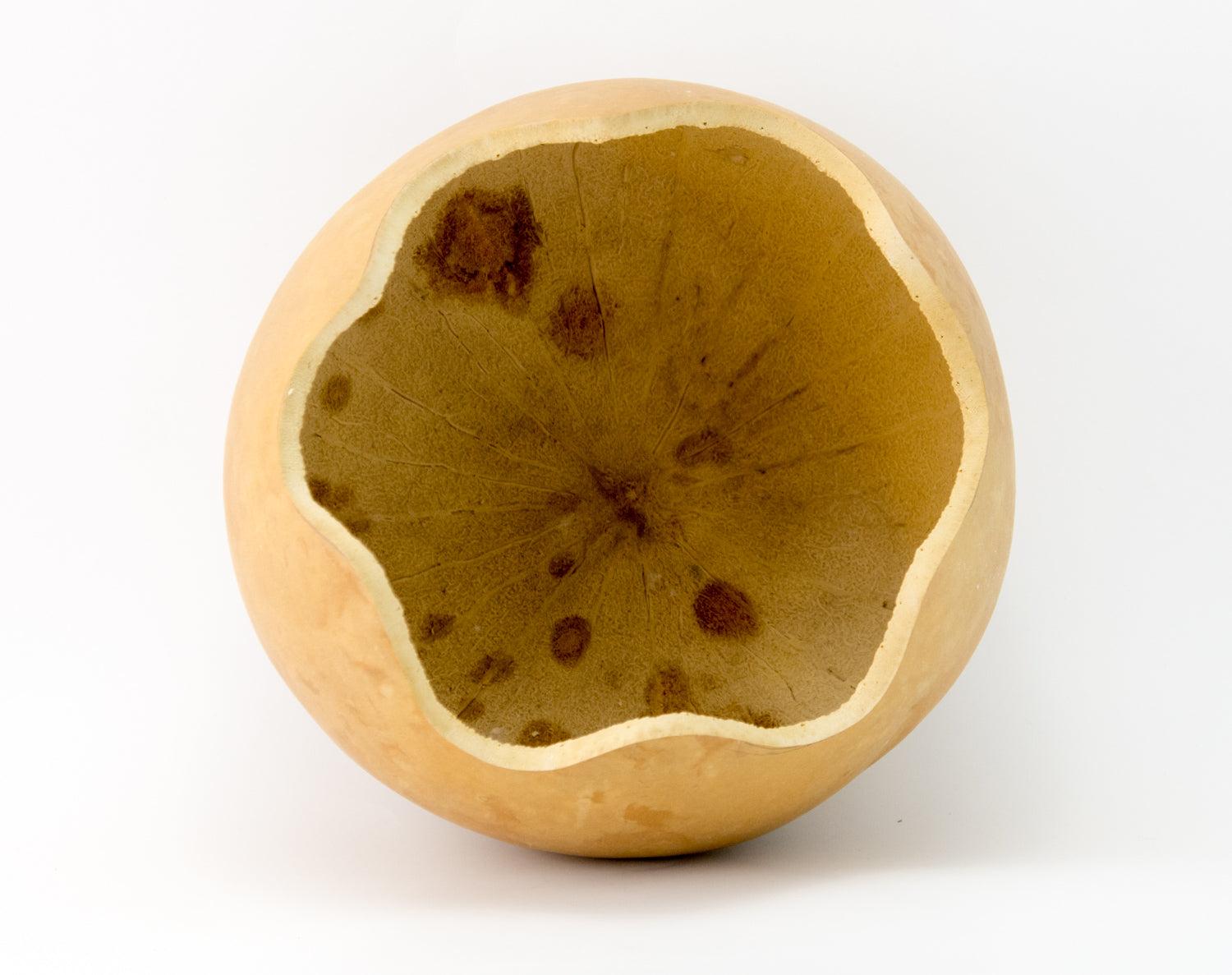 Precut 8-inch dried gourd bowl with scalloped edge, cleaned and sanded, perfect for craft projects and decorating