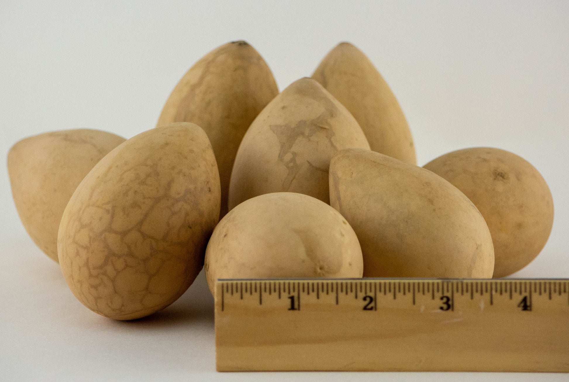 Dried Egg Gourds for Crafting -Box of 50 - Gourdaments