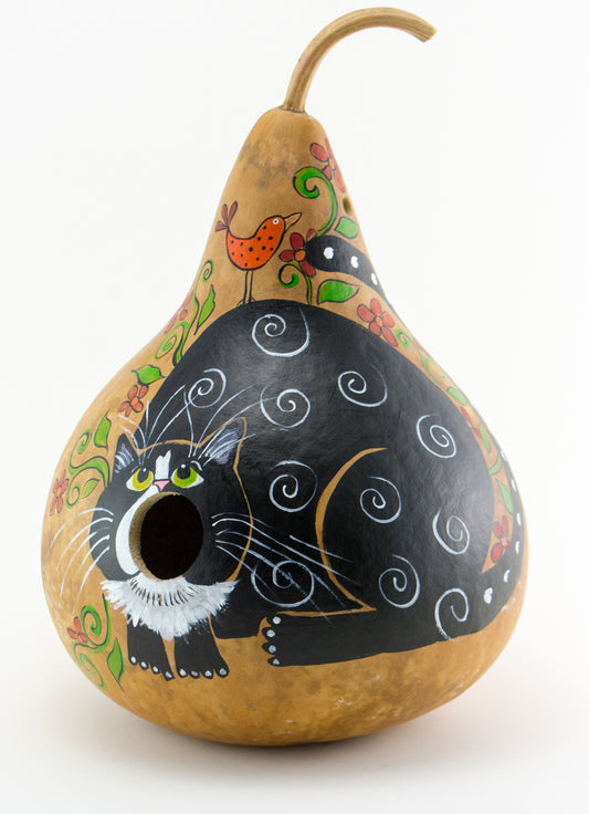 Birdhouse with Silly Cat Mouth Open Gourd Art for Garden - Gourdaments