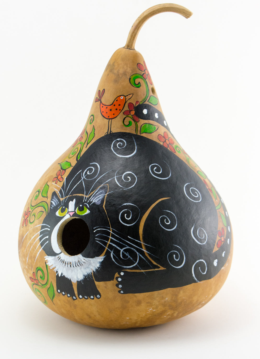 Birdhouse with Silly Cat Mouth Open Gourd Art for Garden - Gourdaments