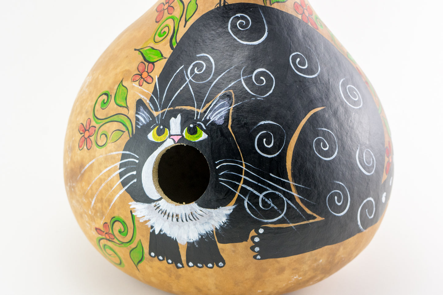 Birdhouse with Silly Cat Mouth Open Gourd Art for Garden - Gourdaments