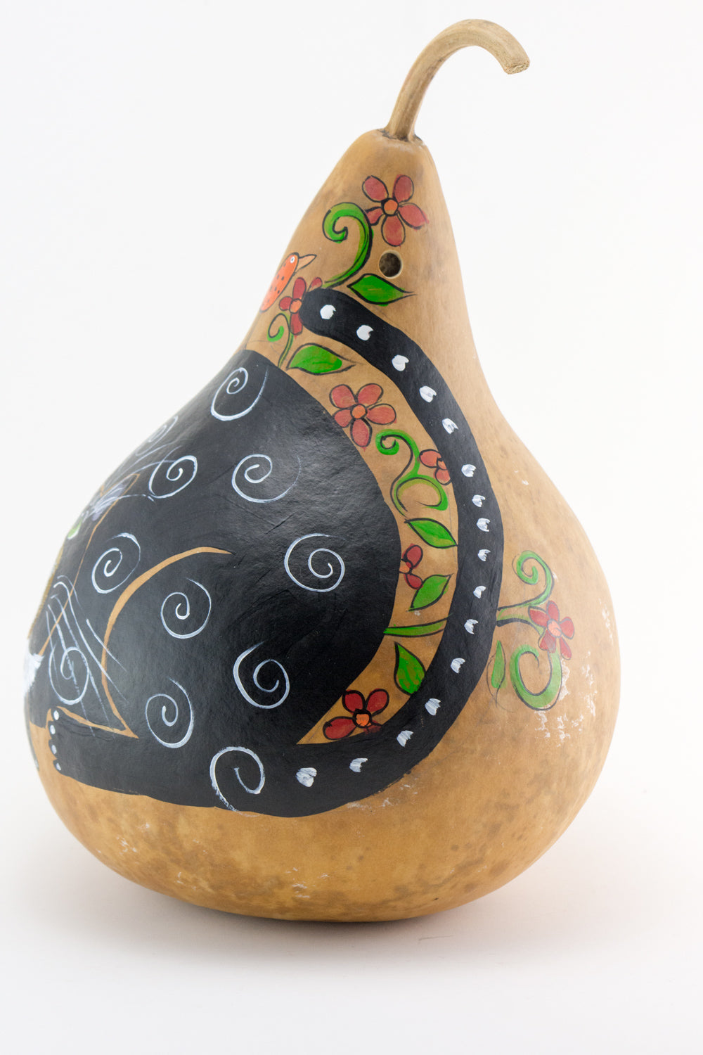 Birdhouse with Silly Cat Mouth Open Gourd Art for Garden - Gourdaments