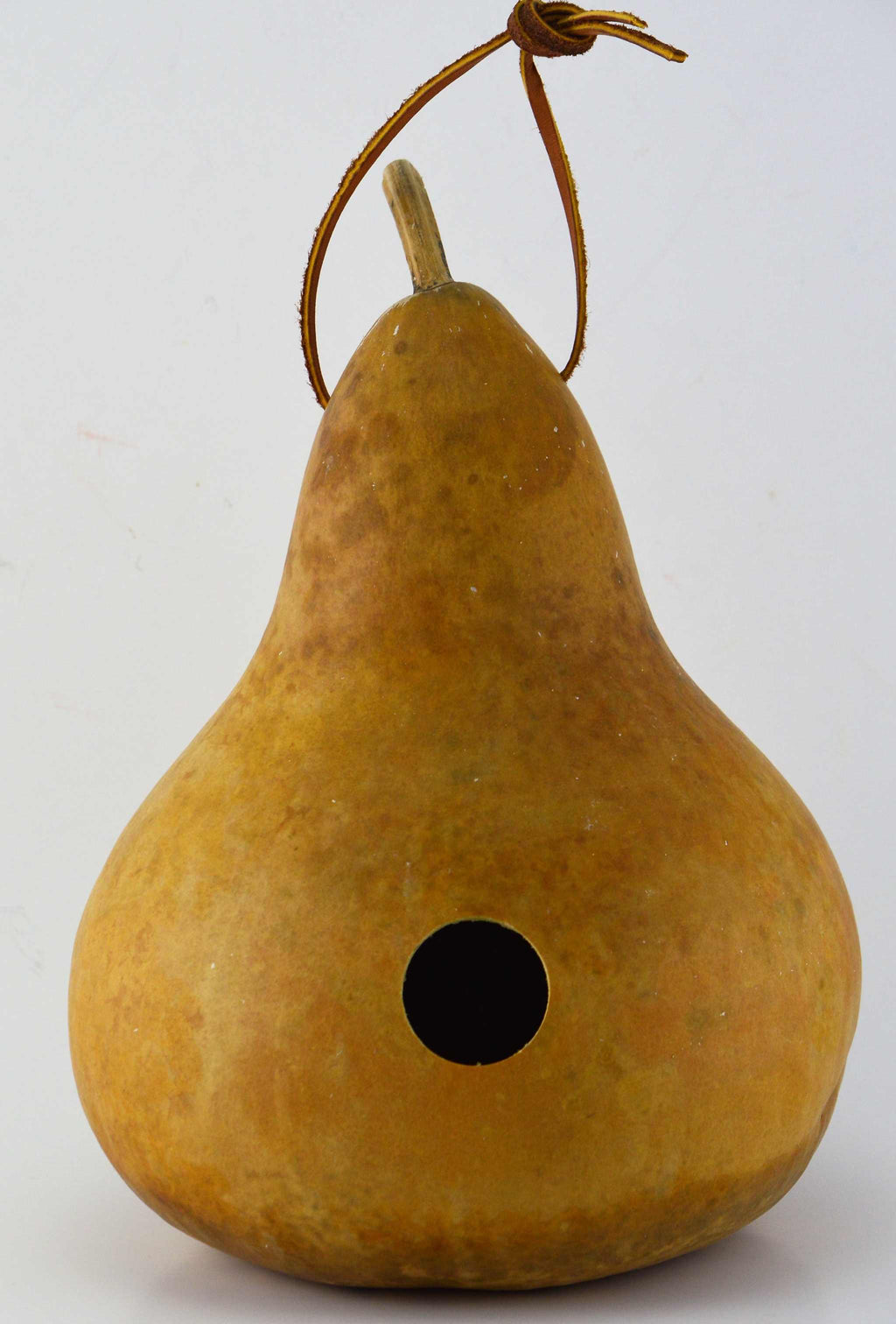 Unfinished Gourd Birdhouse Unfinished and Ready to Craft DIY Sustainable Craft Project 