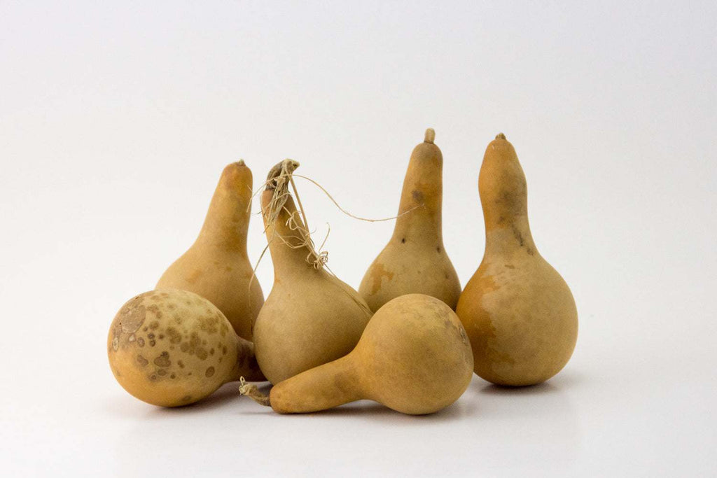 Mini dipper gourds bulk pack for crafts and ornaments
