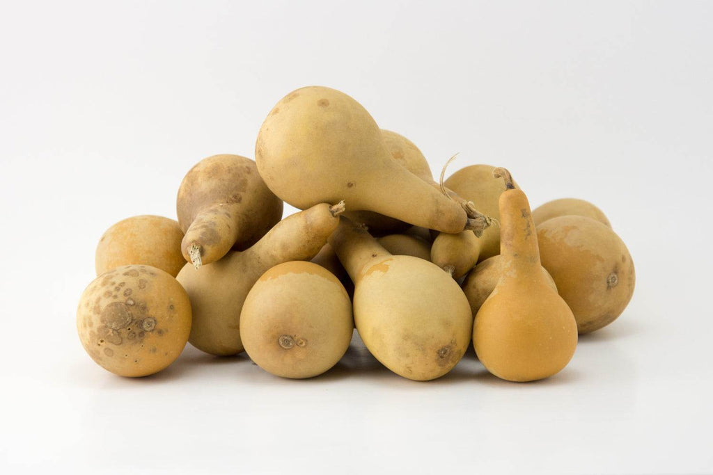 Mini Dipper Gourds - Bulk mini gourds for Santa ornament making