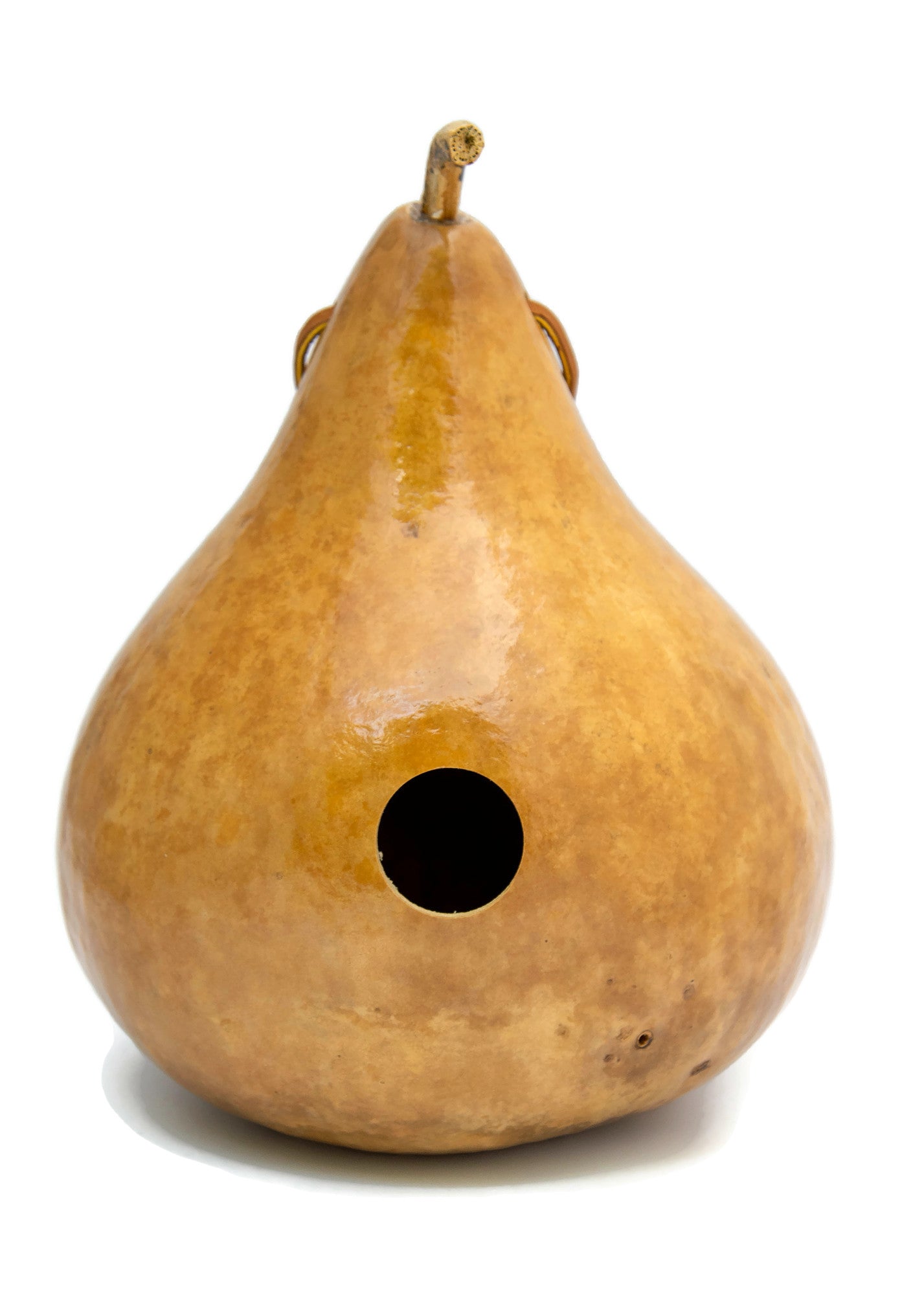 Gourd Birdhouse - Natural Finish - Perfect for a Bird's Nest!