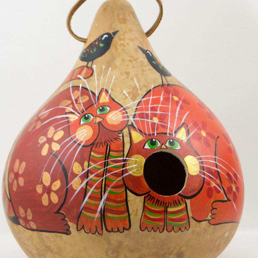 Orange Tabby Birdhouse Cat close up