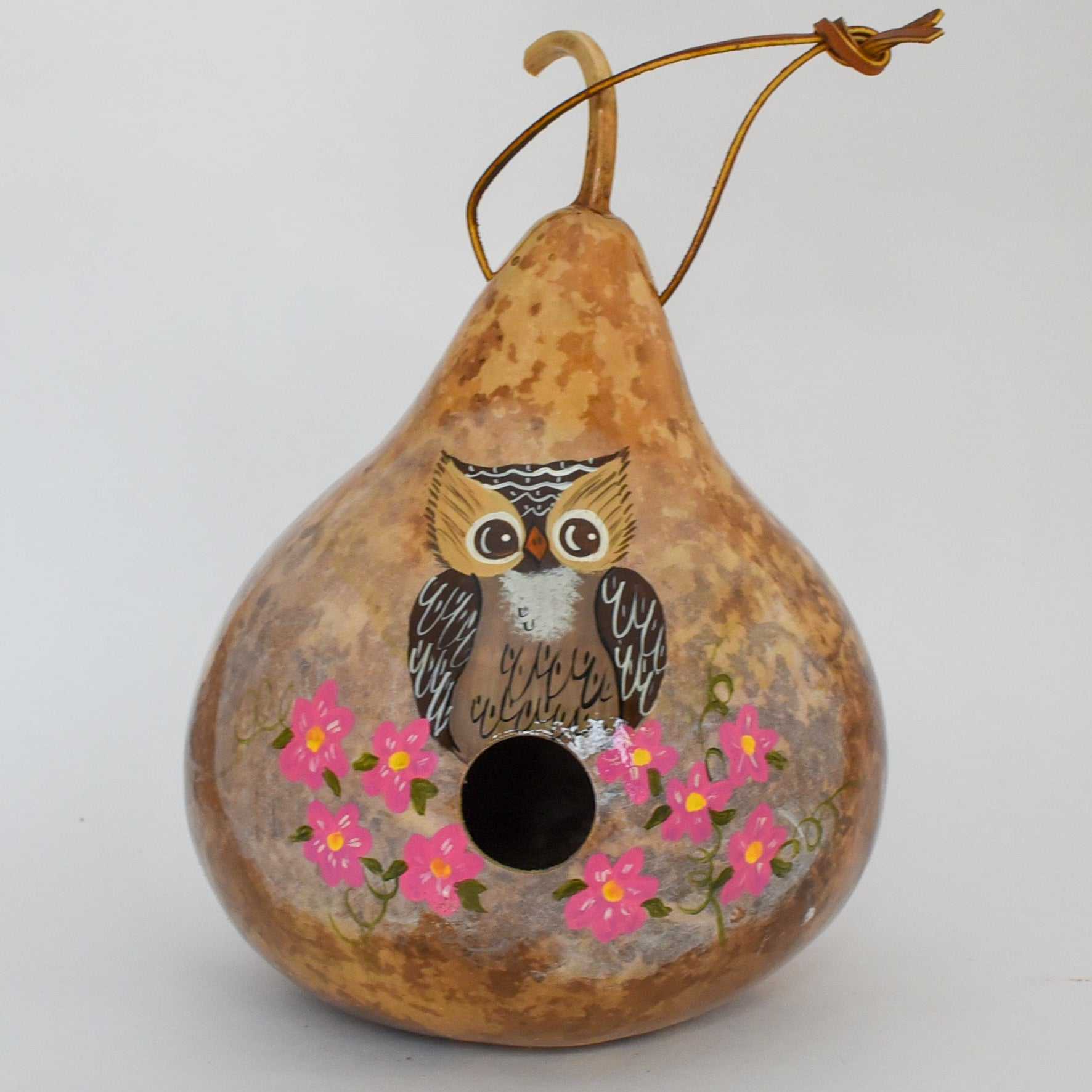 Hand-painted owl birdhouse gourd art with floral design and drainage holes for garden use