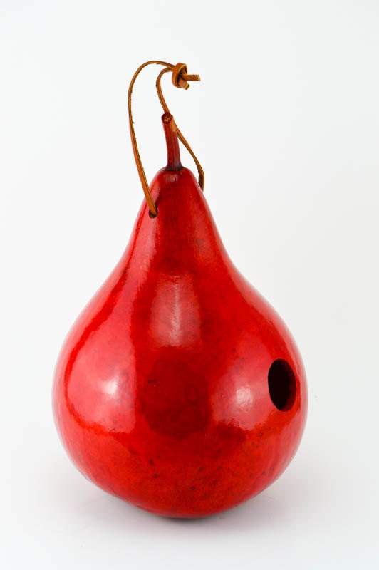 Red handcrafted gourd birdhouse with leather strap and entrance hole for small birds