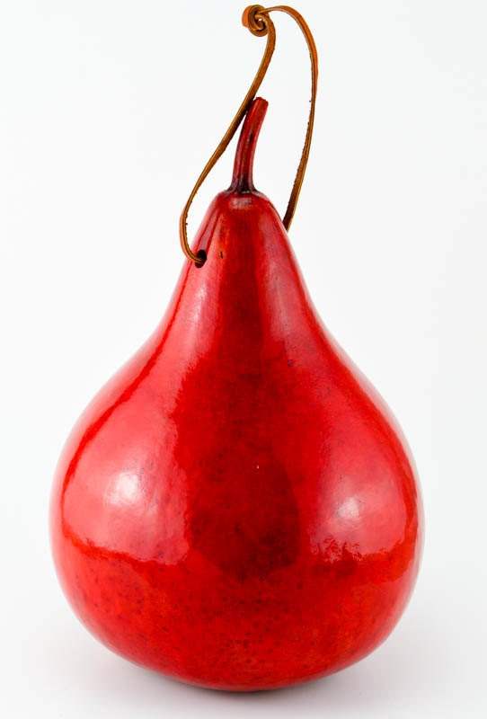Red handcrafted gourd birdhouse with leather hanging strap for small birds