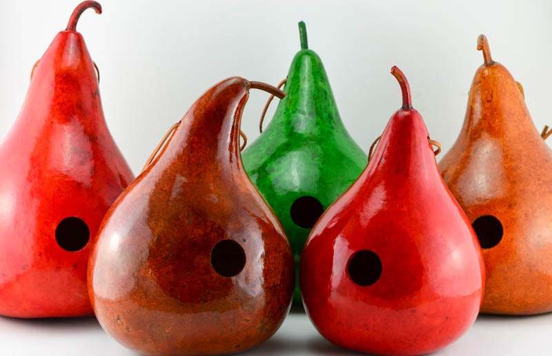Handcrafted colorful gourd birdhouses with entrance holes for small birds, ideal for outdoor nesting.