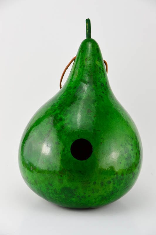 Gourd Birdhouse in Green - Perfect for a Wren or Chickadee