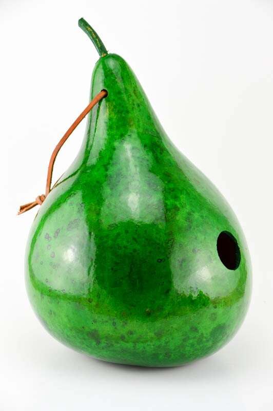 Gourd Birdhouse in Green - Perfect for a Wren or Chickadee
