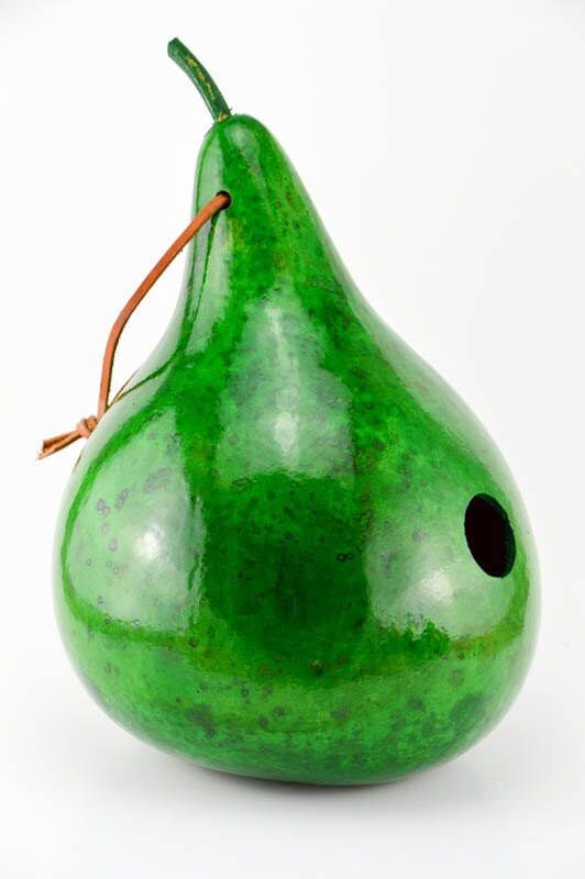 Gourd Birdhouse in Green - Perfect for a Wren or Chickadee