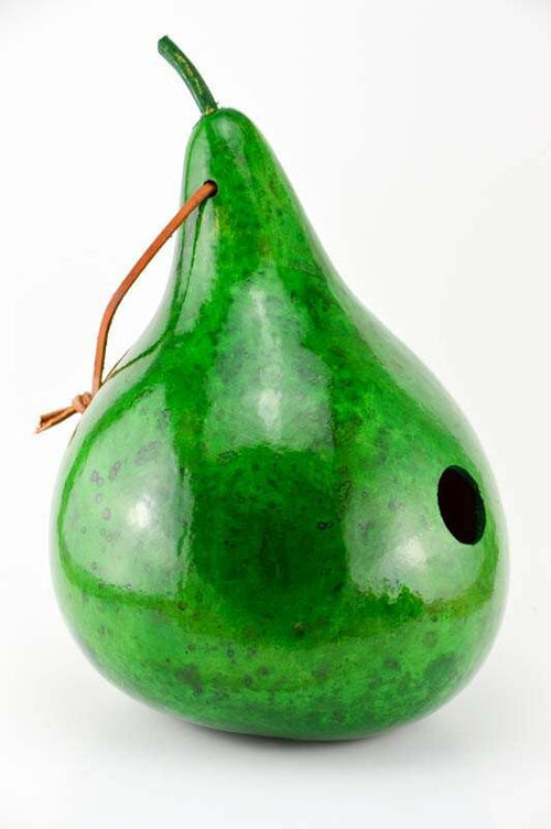 Gourd Birdhouse in Green - Perfect for a Wren or Chickadee