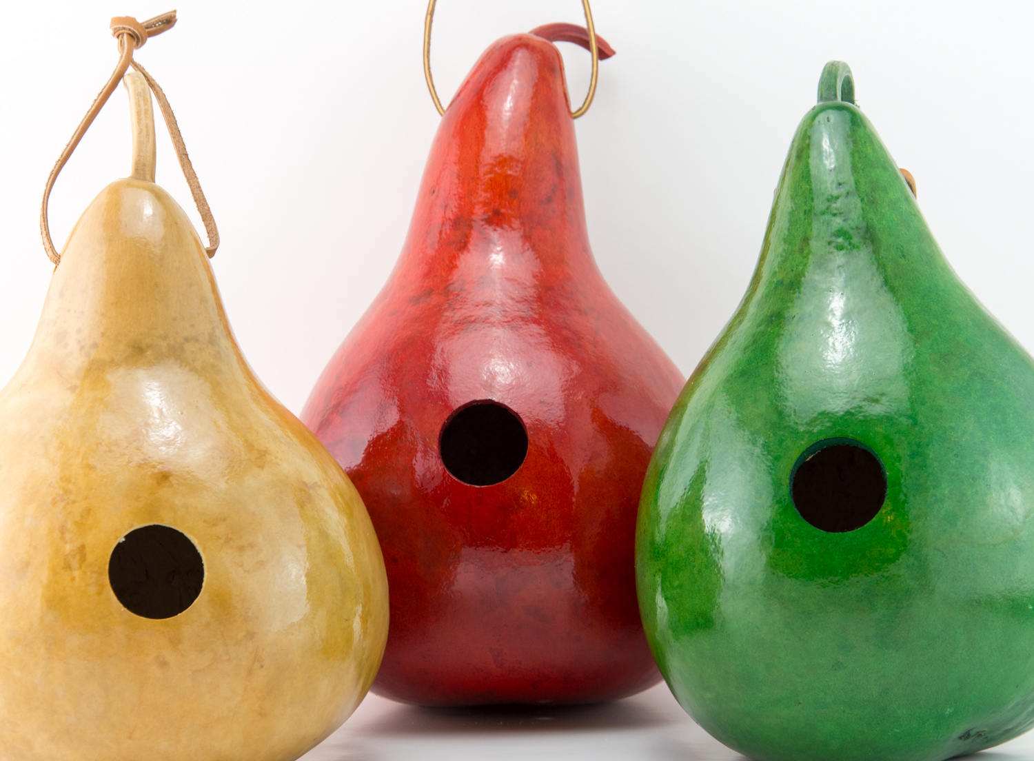 Gourd Birdhouse Set of 3 Red Natural and Green - Birdhouse Gourd 