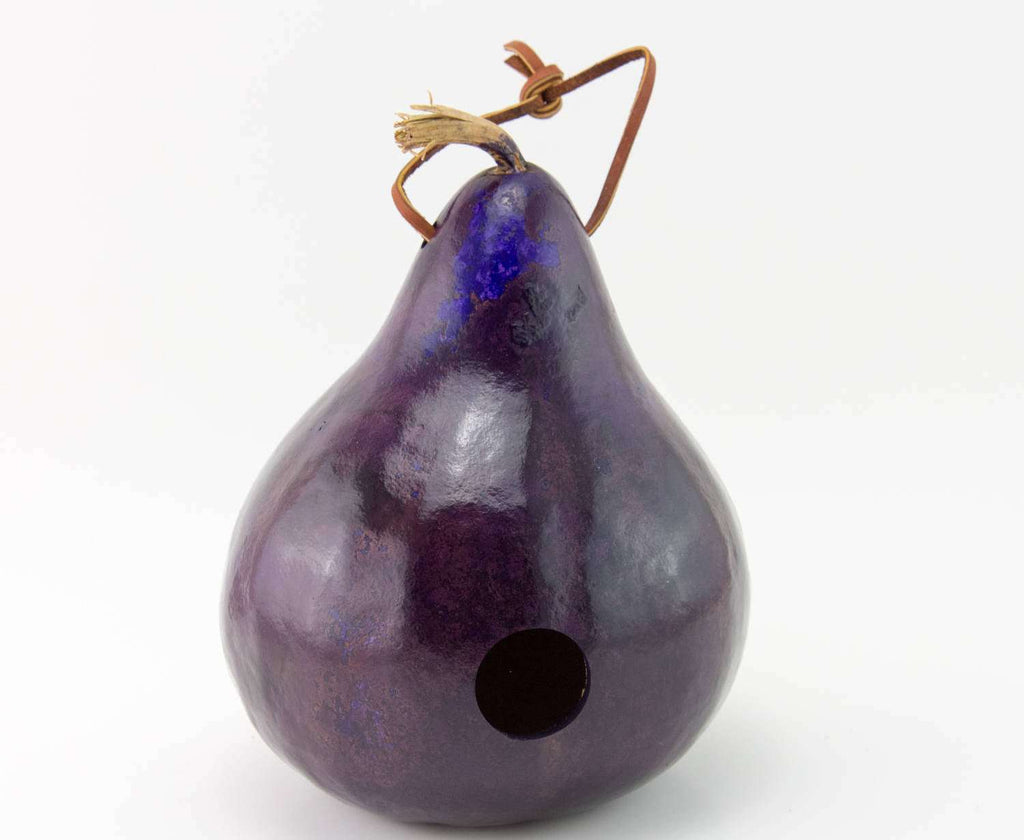 Purple gourd birdhouse with leather strap and entrance hole for wrens, decorative garden art ornament