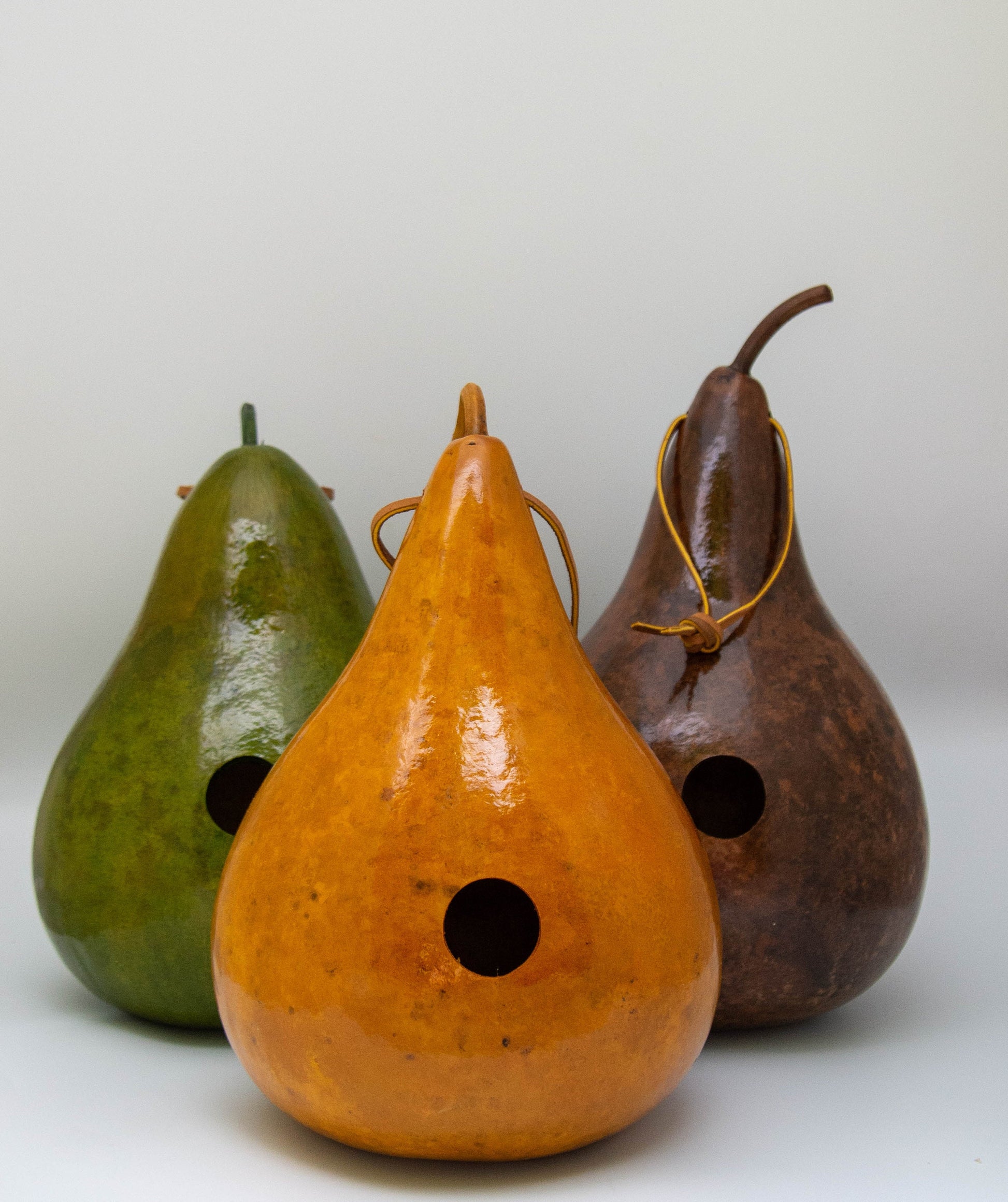Painted Gourd Birdhouse for Sale